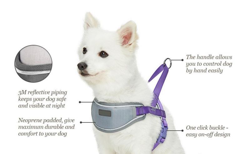 Sunshine Yellow Dog Chest Strap Vest Harness for Large Dogs