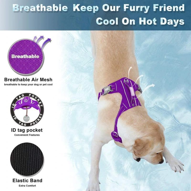 Mesh Dog Harness with 2 Sturdy Metal Leash Attachment