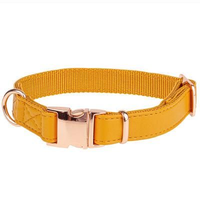 Colorful Microfiber Leather Matching Nylon Rose Gold Metal Accessories Dog Collar