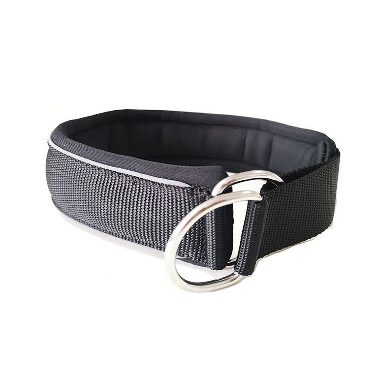 Hot Sell Soft Neoprene Padded Martingale Dog Collar