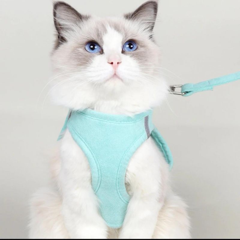 Comfortable Durable Cat Traction Set Liked by Cats