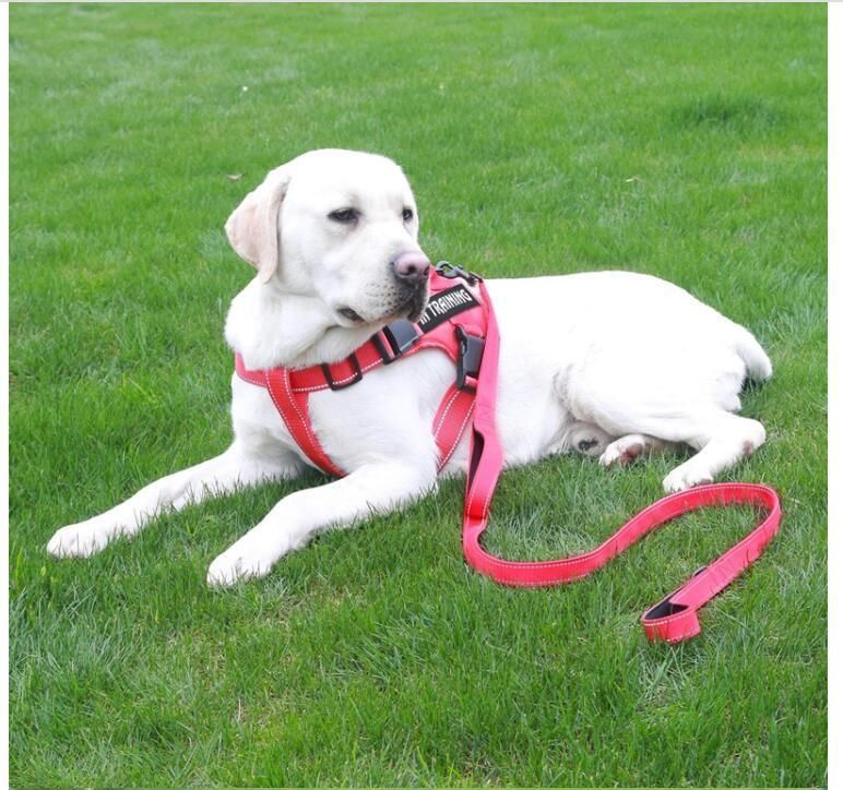 High Quality Outdoor Reflective Adjustable Mesh Oxford No Pull Custom Dog Harness