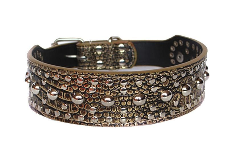 Large Pet Collar with Twinkling Rivet Studded