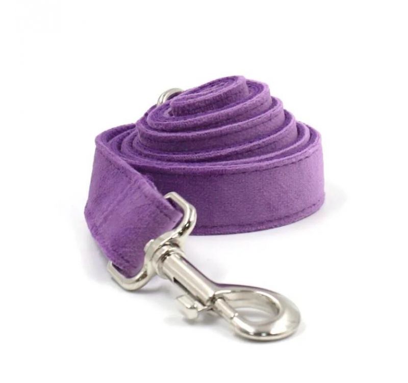 Pet Supplies Factory Best Price High End Dog Collars Puppy Training Collars Soft Purple Velvet Dog Leash Bow Tie