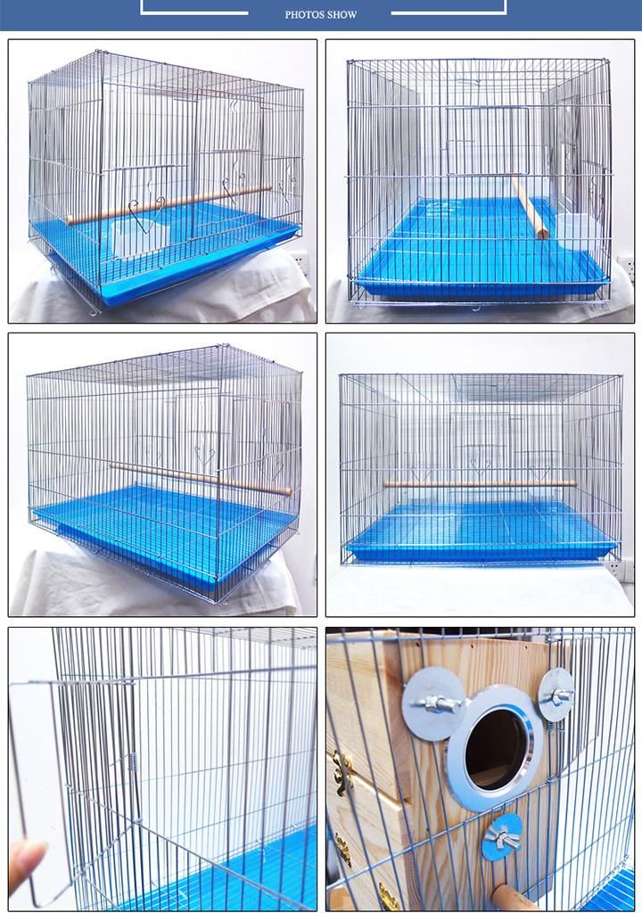 Factory Supply Large Metal Bird Breeding Cage with Breeding Door