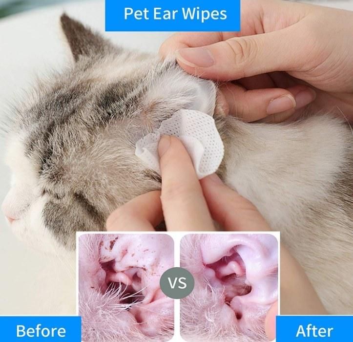 Manufactory Offer Pets Eye Cleaner Cotton Pads Cleansing Wet Wipes for Dogs and Cats Use