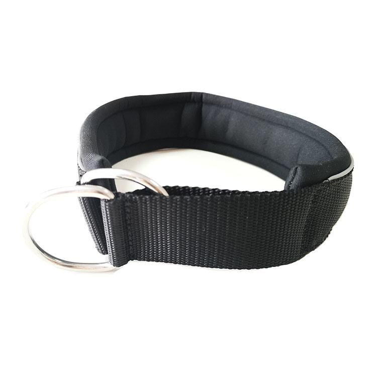 Hot Sell Soft Neoprene Padded Martingale Dog Collar