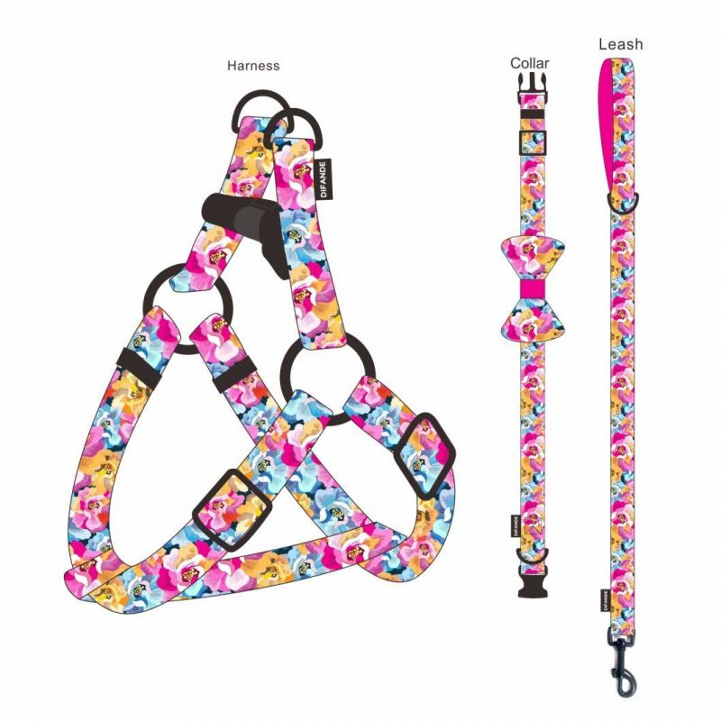 Luxury Pet Accessories 7 in 1 OEM&ODM Soft Padded Polyester Personalize Dog Leash Set