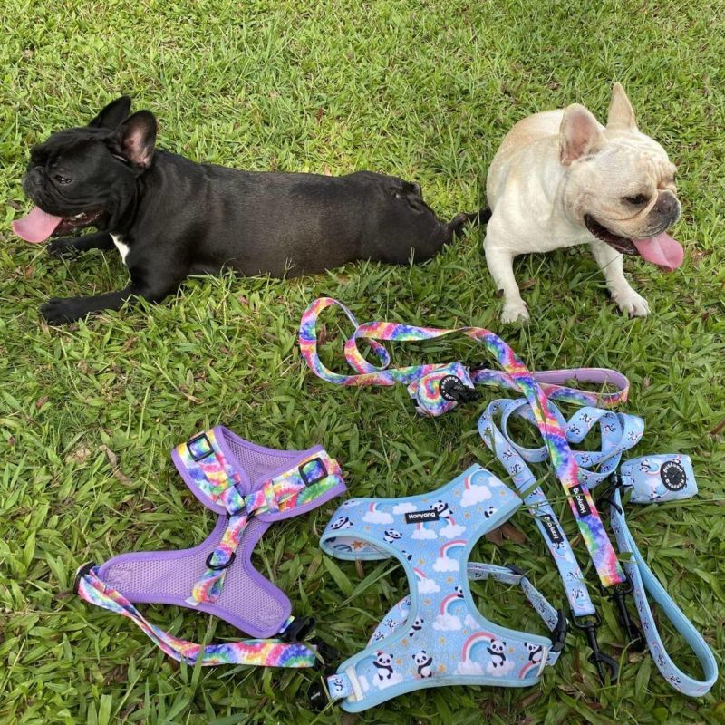 2022 Newest Comfortable Wholesale Neoprene Adjustable Design Custom Dog Harness with Matching Pet Products