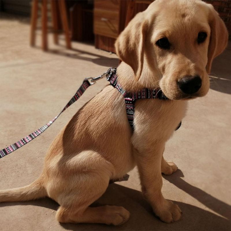 Geometric Bohemia Pattern Dog Harness Polyester Pet Harness