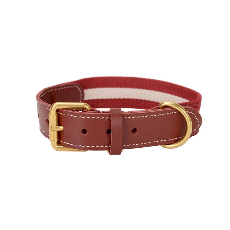 Wide Personalised Webbing Dog Collar with Leather