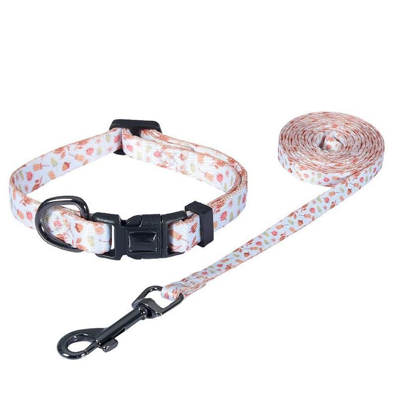 OEM ODM Wholesale Pet Accessories Luxury Neoprene Durable Soft Dog Leash Dog Collar