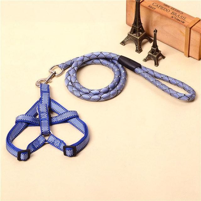Reflective Rope Dog Leash with Matching Dog Harness
