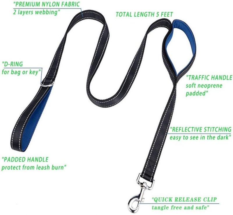Enhanced Comfort Dual Bungee Dog Leash Double Dog Lead with Double Handle for Great Control