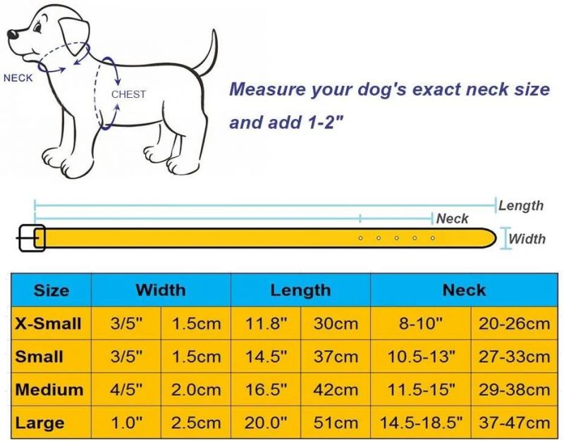 Amazon Hot Sell Basic Classic Padded Leather Pet Collars