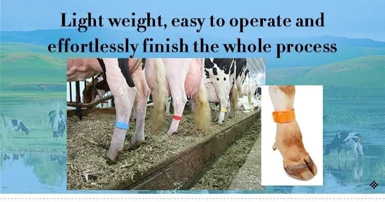 Reusable Plastic Leg Bands for Cow and Cattle