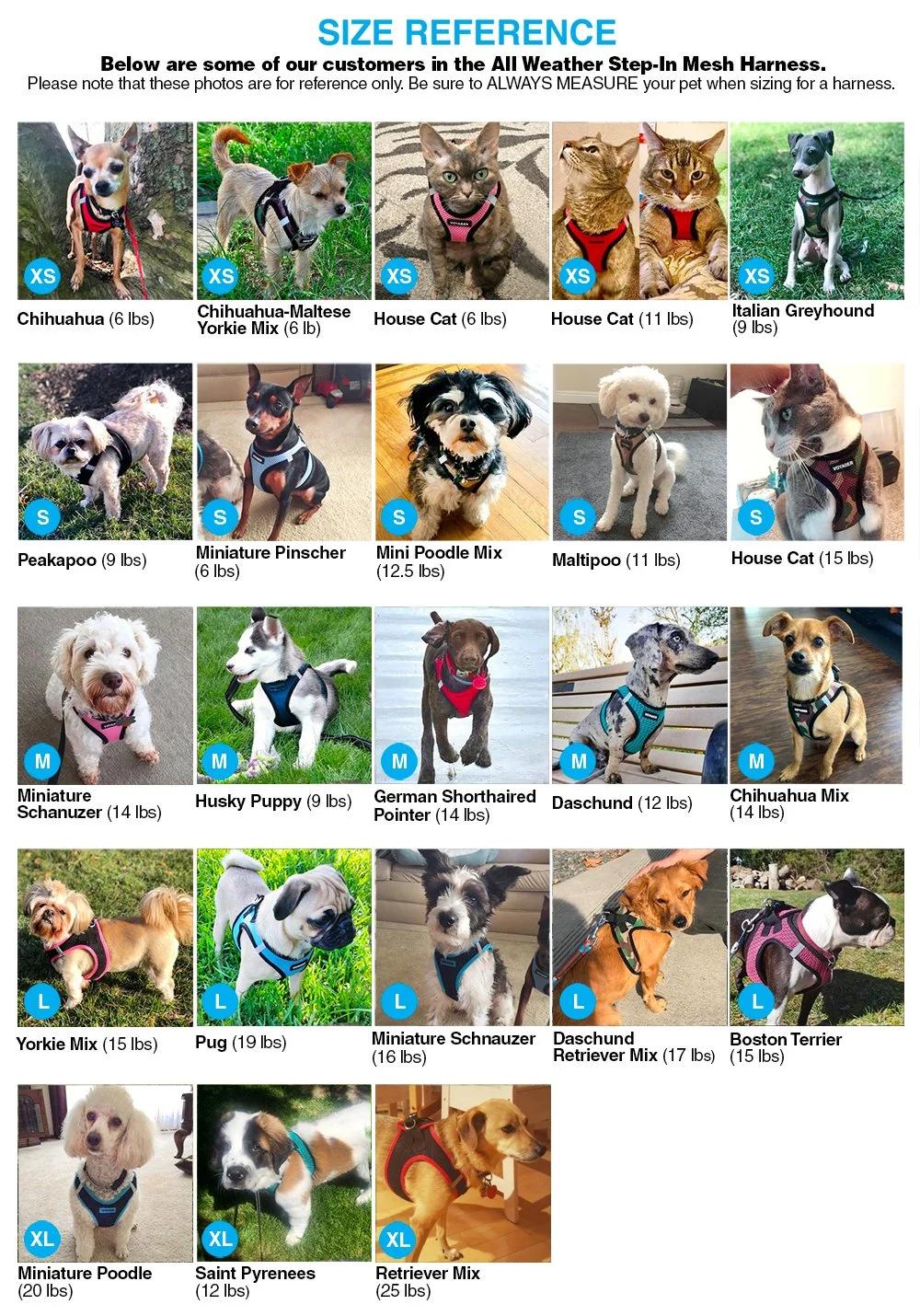 No-Pull Padded Vest Mesh Dog Harness for Outdoor Walking, Hiking