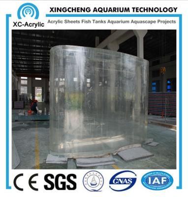 Large Acrylic Fish Tank