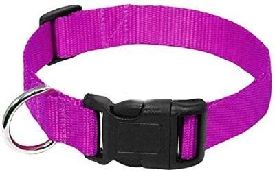 Solid Colors for Small Sized Dogs Neck Multicolor Dog Collar