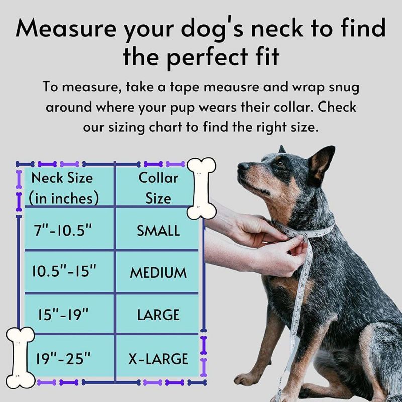 Easy to Wash Waterproof & Reflective Dog Collar