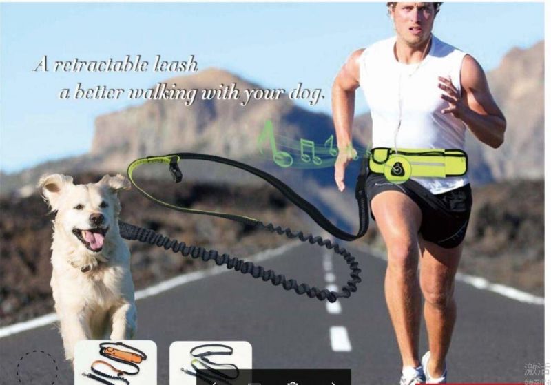Hands-Free Dog Leash for Running, Walking, Biking - Includes Waist Belt and 10 FT. Leash