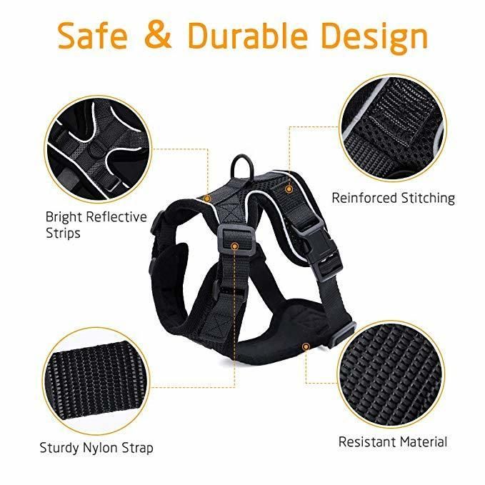 Reflective Breathable Air Mesh Cats Harness with Lead