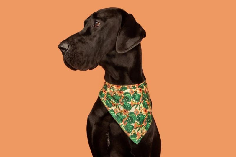 Free Sample Dog Accessories Cotton Soft Bandana Custom Personalized Dog Bandana