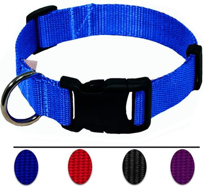 Adjustable Nylon Dog Collar with Classic Solid Colors