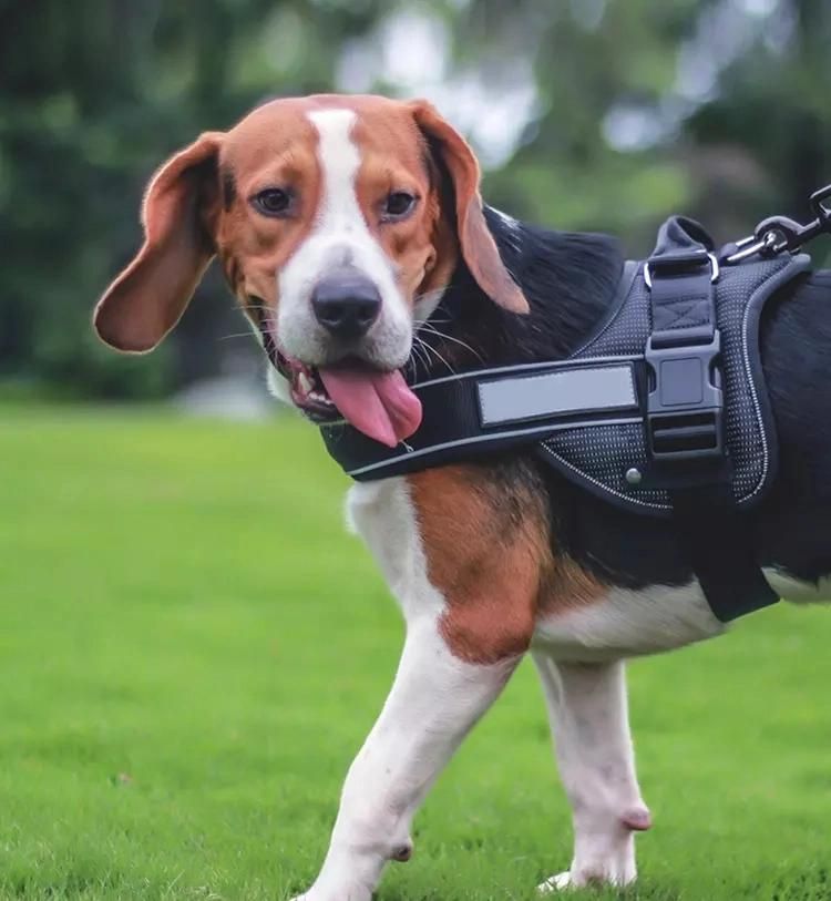 New Reflective Nylon Soft Mesh Dog Harness for Walking Training Dogs