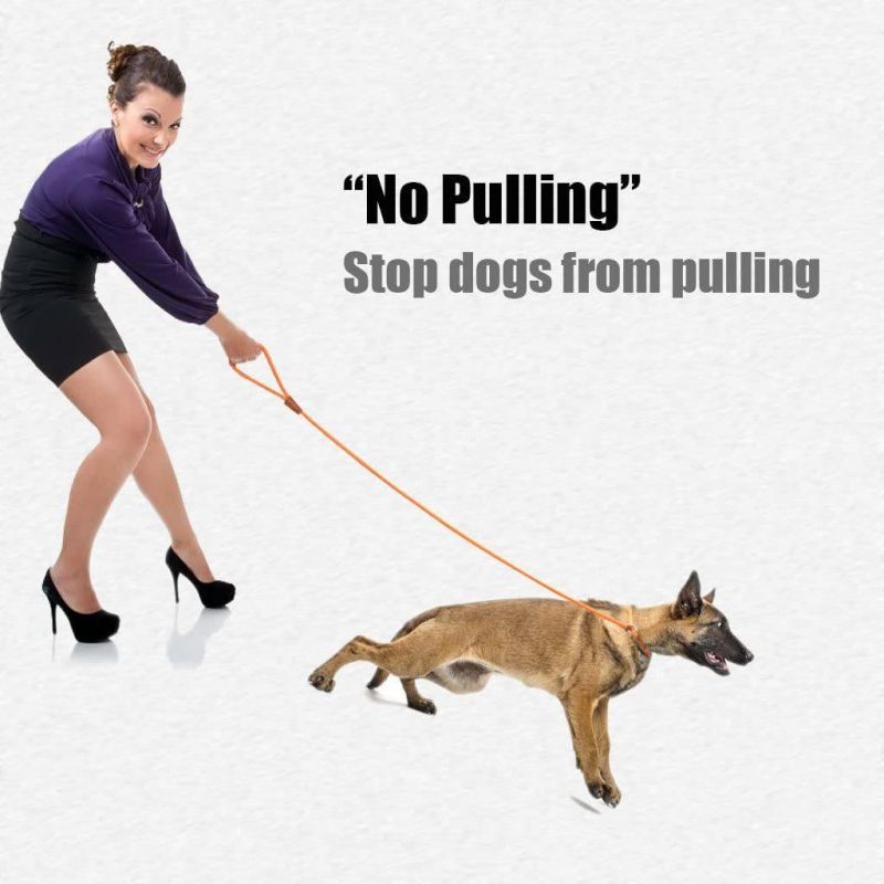 Dog Leash Slip Rope Lead Leash Strong Heavy Duty Braided Rope No Pull Training Lead