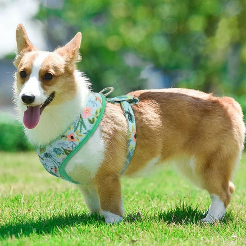 Wholesale Dog Harness Neck Adjustable Non Pull Mesh Soft Design Dog Harness
