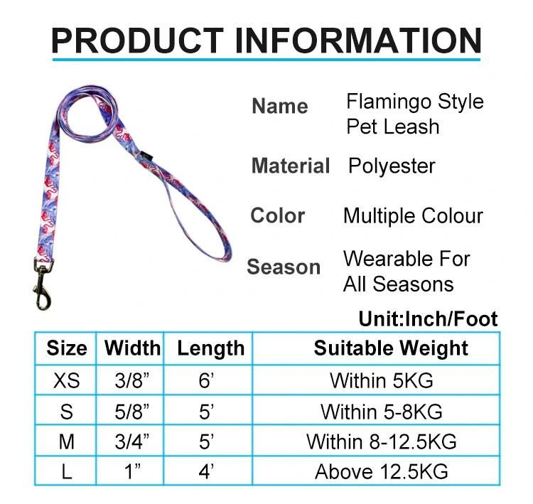 Custom Designer Reflective Soft Padded Nylon No Pull Dog Harness and Leash Set