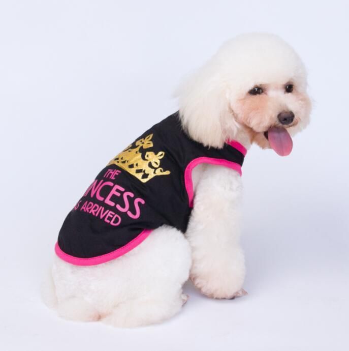 Hot Sell Adorable Summer Dog T-Shirt with Fast Delivery