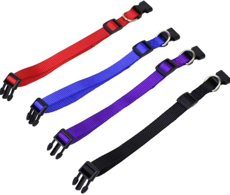 Solid Colors for Small Sized Dogs Neck Multicolor Dog Collar