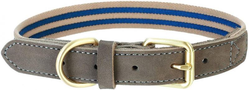 Genuine Leather and Durable Canvas Combines Dog Collar