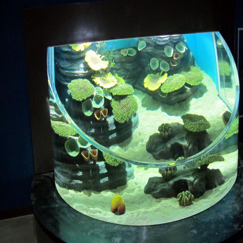 Large Big Size Acrylic Round Aquarium Supplier From China