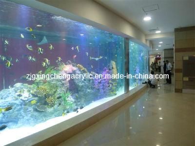 Aquarium Tank/Wall Aquarium/Huge Aquarium/Transparent Flexible Acrylic Sheet