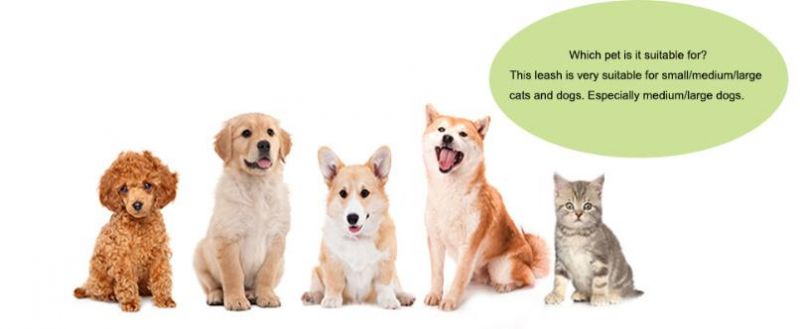 Dog Leash for Large Medium Small Pets