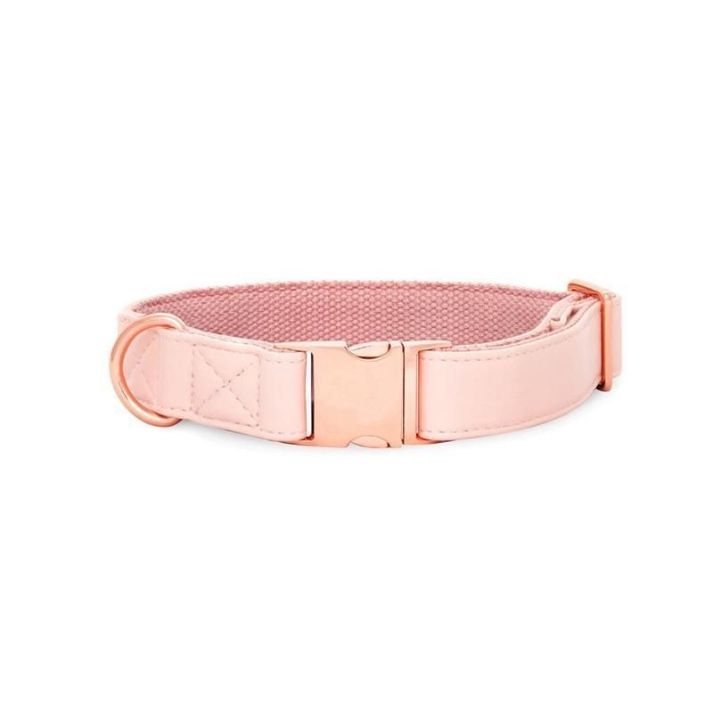Luxury Colorful PU Leather Dog Collar Leash Set with Gold Rose Gold Buckle