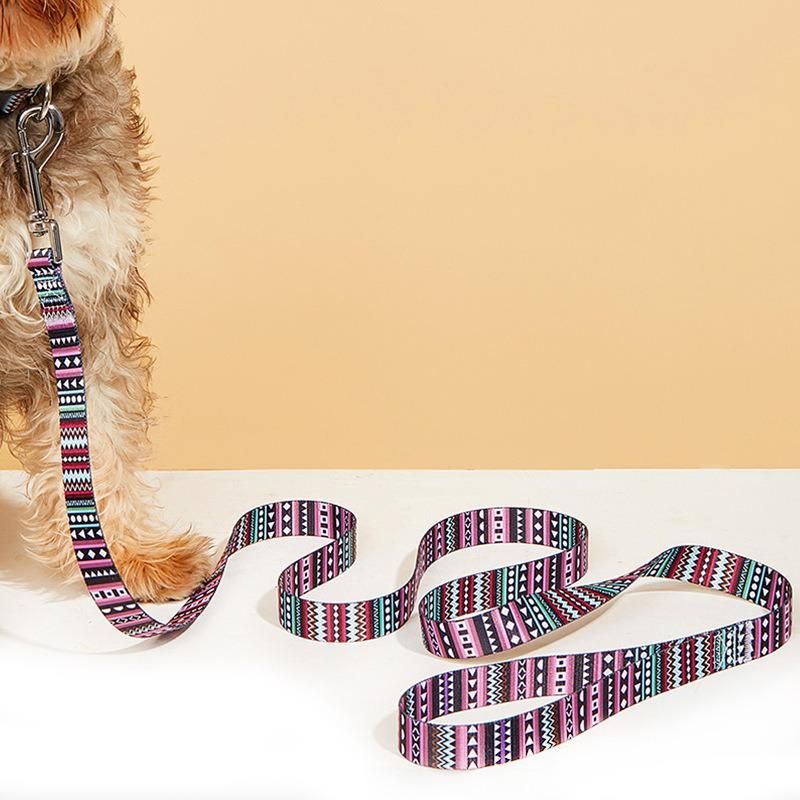 10 Colors Dog Collar Leash for Walking Training Luxury Polyester Pet Dog Cat Harness Set Custom Printed Dog Leash