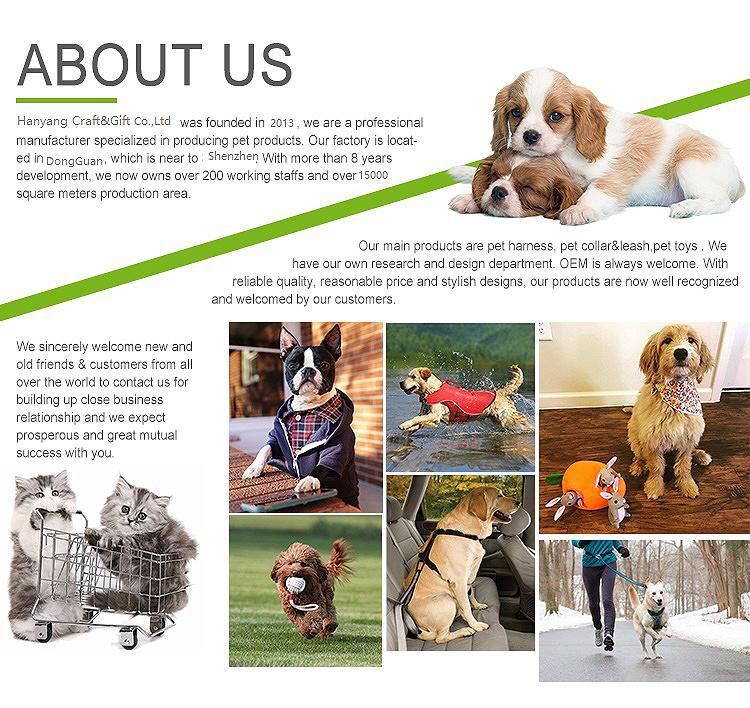 Customized Printing Design Dog Harness Set Adjustable Pet Harness Dog Harness