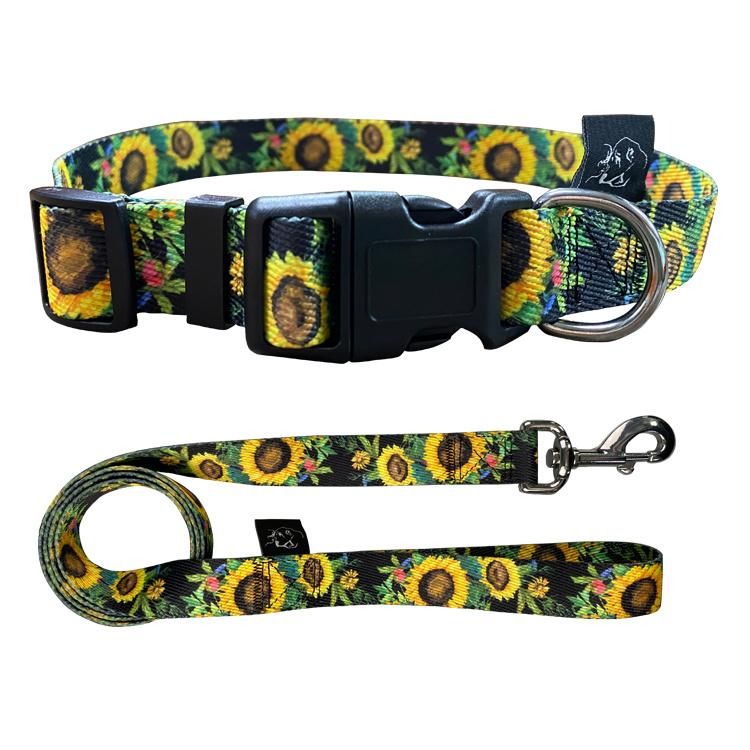 Personalized Dog Collar Leash Lead Set Engraved Floral Dog Collars