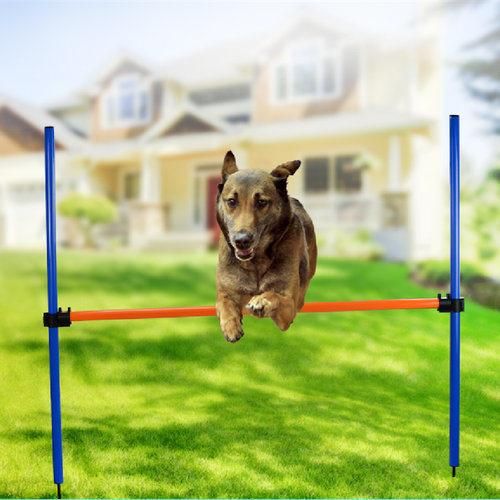 Light Weight Dog Pet Jump Hurdle