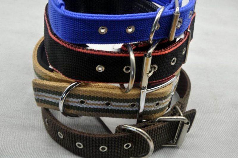 High Quality Pet/Dog/Cat Animal Buckle Adjustable Strip Collar (PCZW21042)