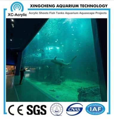 Clear Super Viewing Acrylic Panel of Viewing Aquarium Project