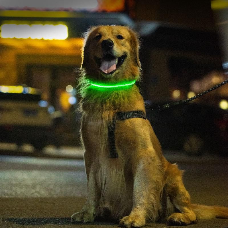 Optical Fiber LED Luminous Collar Multi-Color USB Charging Collar Can Shorten The Pet Collar