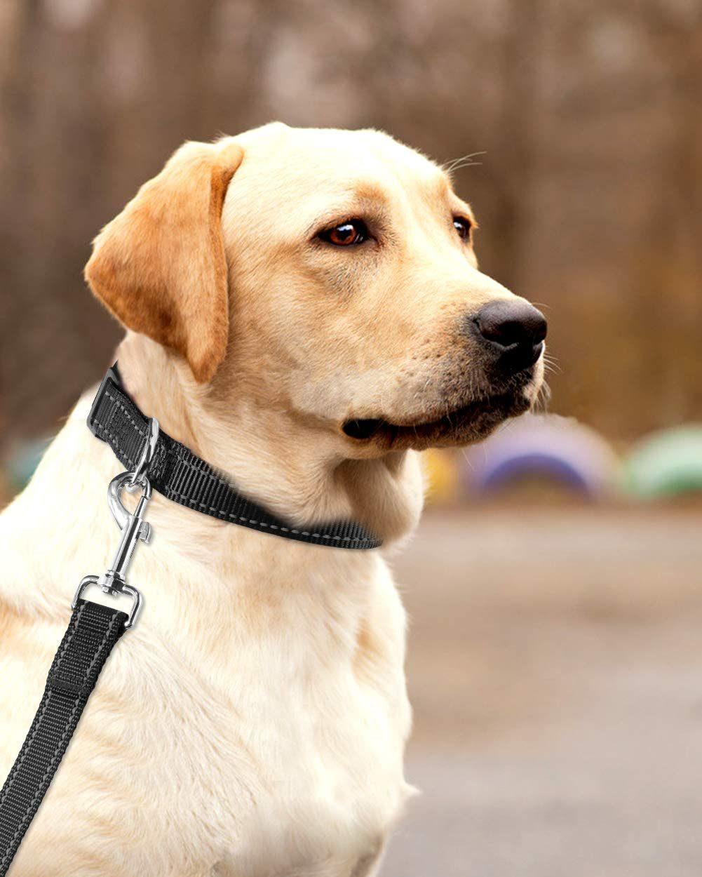 Classic Solid Colors Black Large Size Dog Collar
