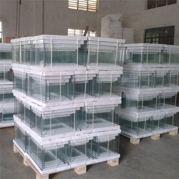 Curved and Round Glass Aquarium Set