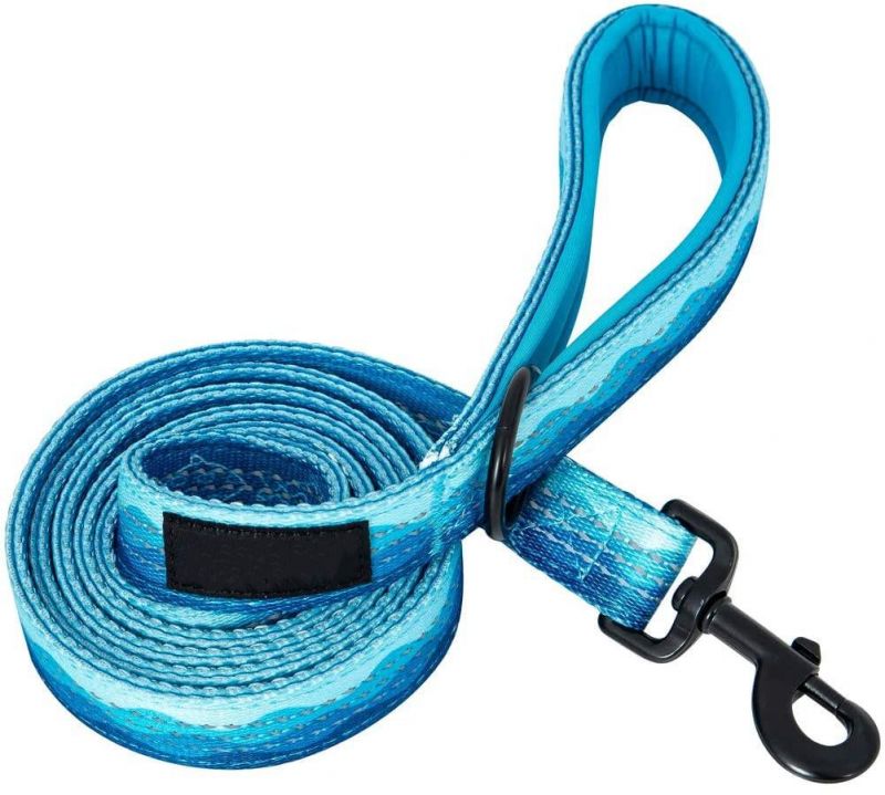 Durable Custom Design Dog Leash with Soft Padded Handle