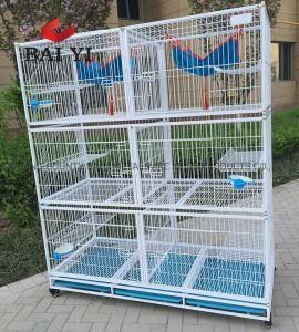 Iron Wire Cat Cage Design Eco Friendly Pet Product Dog and Cat Products